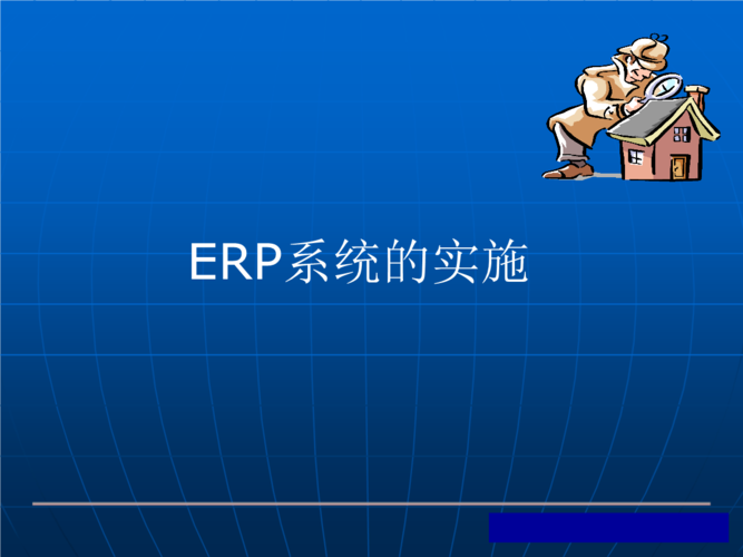 电子商务实务课件-erp系统的实施.ppt